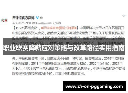 职业联赛降薪应对策略与改革路径实用指南