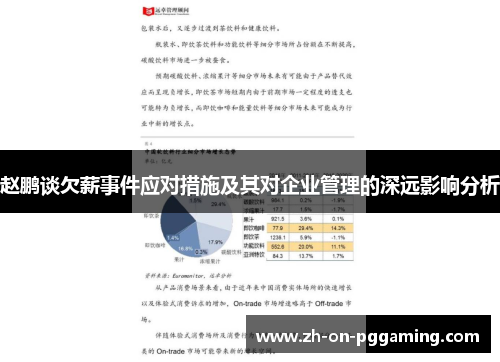 赵鹏谈欠薪事件应对措施及其对企业管理的深远影响分析