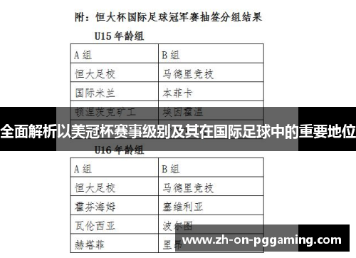 全面解析以美冠杯赛事级别及其在国际足球中的重要地位