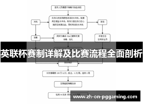 英联杯赛制详解及比赛流程全面剖析