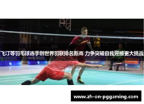 飞汀等羽毛球选手创世界羽联排名新高 力争突破自我迎接更大挑战