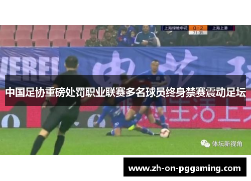 中国足协重磅处罚职业联赛多名球员终身禁赛震动足坛