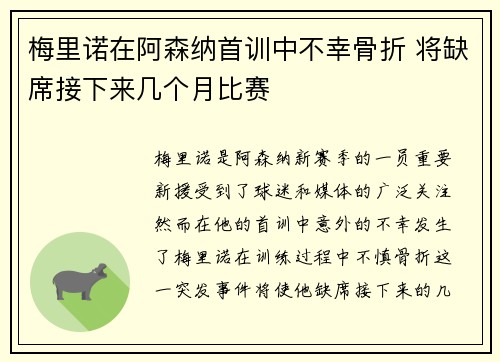 梅里诺在阿森纳首训中不幸骨折 将缺席接下来几个月比赛