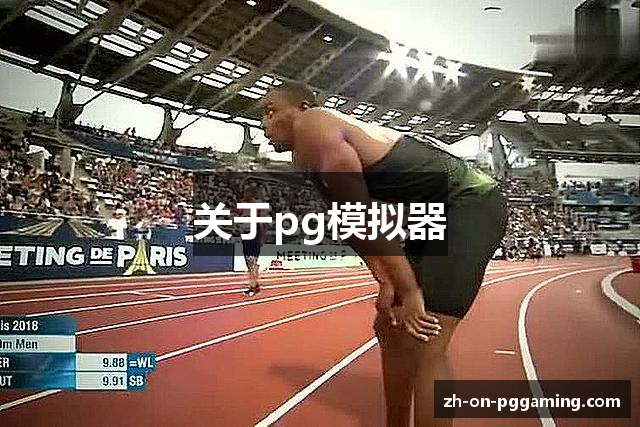 关于pg模拟器